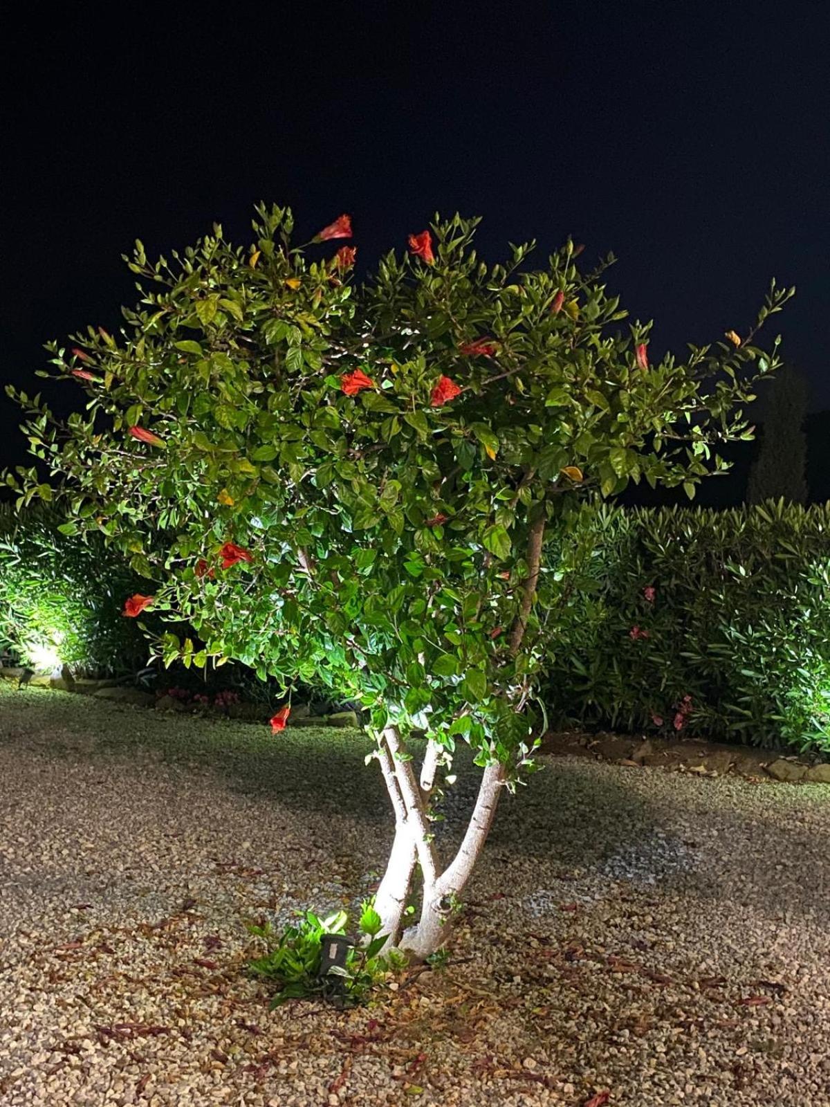 Finca Angelita Torrox Ngoại thất bức ảnh