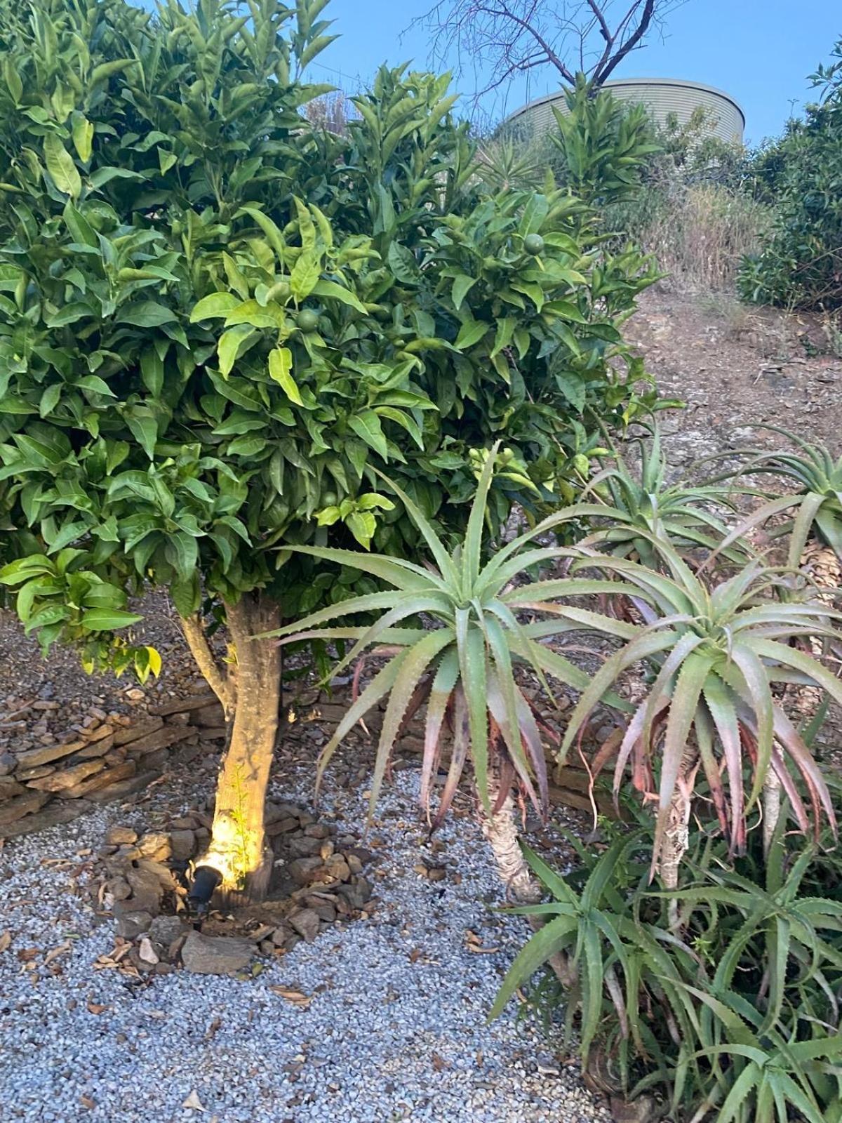 Finca Angelita Torrox Ngoại thất bức ảnh