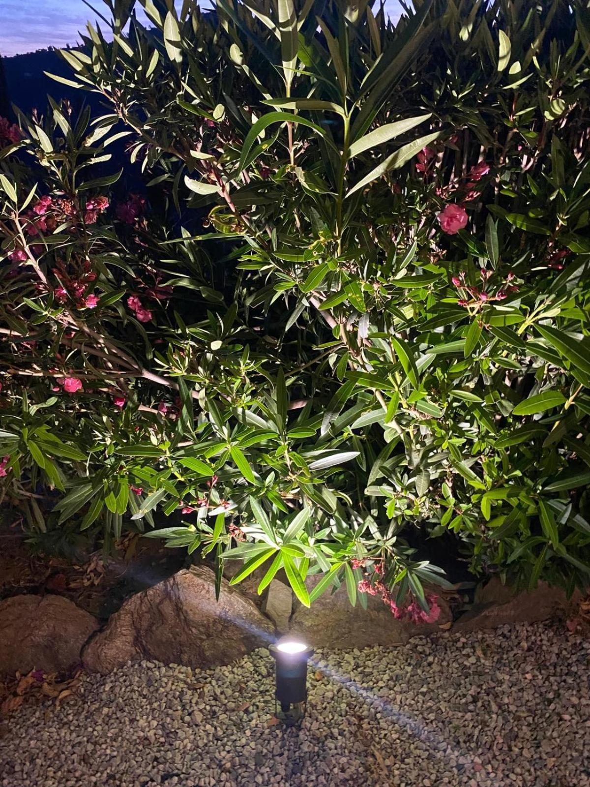 Finca Angelita Torrox Ngoại thất bức ảnh